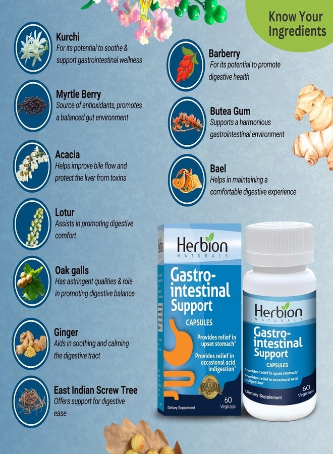 HERBION Naturals Gastro-intestinal Support Herbal Blend for Upset Stomach Relief, Gastrointestinal Health and Function, Occasional Acid Indigestion, Healthy Intestinal Flora, 60 Count, Pack of 1 - Image 3